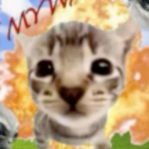 Meet your Posher, Fy